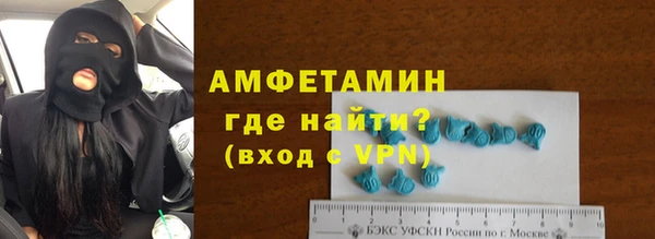 прущие грибы Рославль