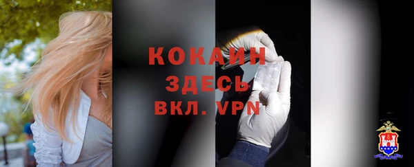 крисы Армянск