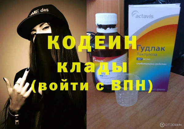 крисы Армянск